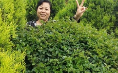 宝贝叫的再浪点射给你